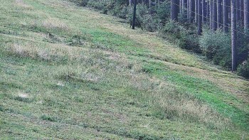 Ski areál U Sachovy studánky