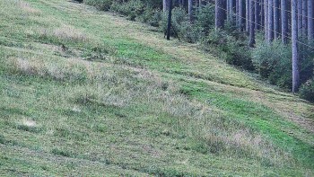 Ski areál U Sachovy studánky