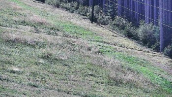 Ski areál U Sachovy studánky