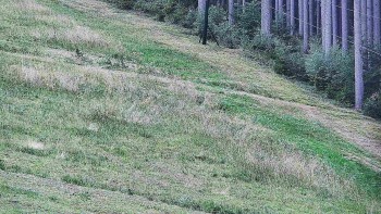 Ski areál U Sachovy studánky