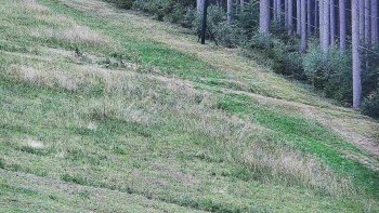 Ski areál U Sachovy studánky