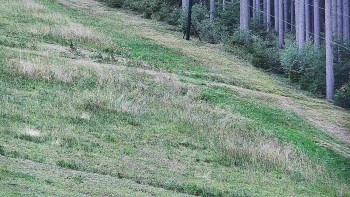 Ski areál U Sachovy studánky