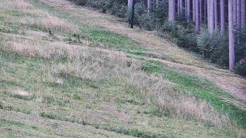 Ski areál U Sachovy studánky