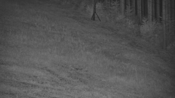 Ski areál U Sachovy studánky