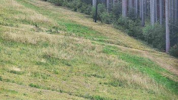 Ski areál U Sachovy studánky