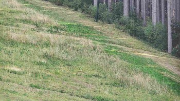 Ski areál U Sachovy studánky