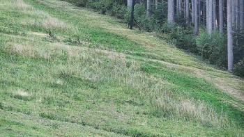 Ski areál U Sachovy studánky