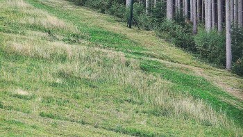 Ski areál U Sachovy studánky