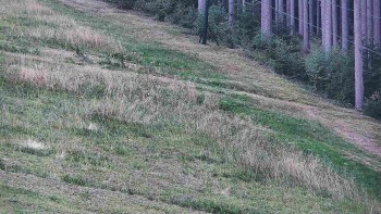 Ski areál U Sachovy studánky