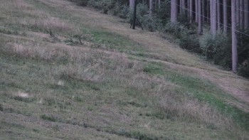Ski areál U Sachovy studánky