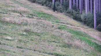 Ski areál U Sachovy studánky