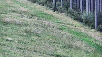 Ski areál U Sachovy studánky