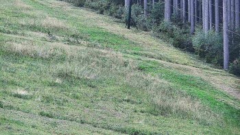 Ski areál U Sachovy studánky