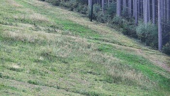 Ski areál U Sachovy studánky