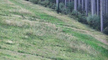 Ski areál U Sachovy studánky