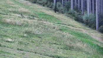 Ski areál U Sachovy studánky