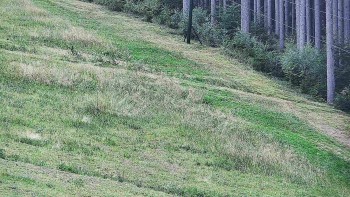 Ski areál U Sachovy studánky