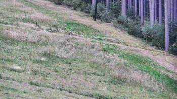 Ski areál U Sachovy studánky