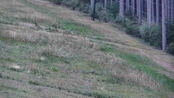 Ski areál U Sachovy studánky