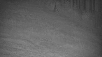 Ski areál U Sachovy studánky