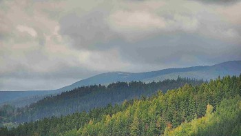 Ski areál U Sachovy studánky