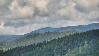 Ski areál U Sachovy studánky