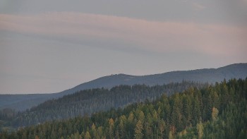 Ski areál U Sachovy studánky