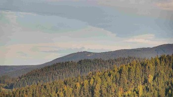 Ski areál U Sachovy studánky