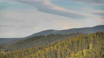 Ski areál U Sachovy studánky