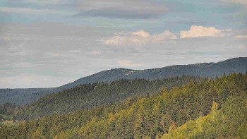 Ski areál U Sachovy studánky