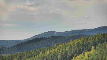 Ski areál U Sachovy studánky