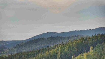 Ski areál U Sachovy studánky