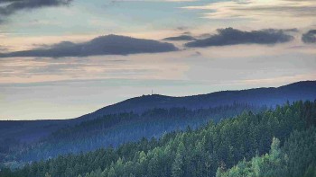 Ski areál U Sachovy studánky