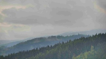 Ski areál U Sachovy studánky