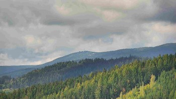 Ski areál U Sachovy studánky