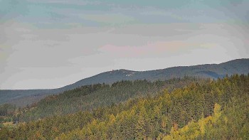Ski areál U Sachovy studánky