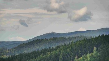 Ski areál U Sachovy studánky