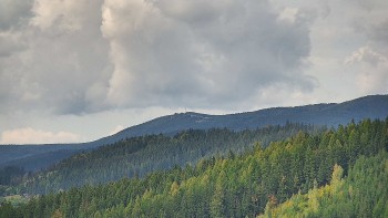Ski areál U Sachovy studánky