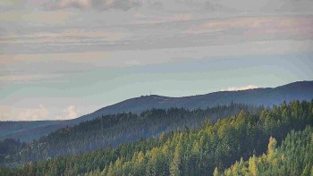 Ski areál U Sachovy studánky