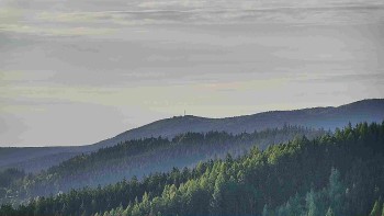 Ski areál U Sachovy studánky