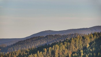 Ski areál U Sachovy studánky