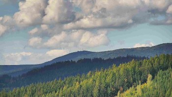 Ski areál U Sachovy studánky