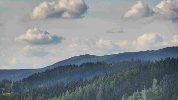 Ski areál U Sachovy studánky