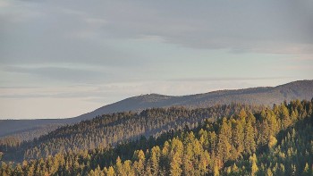 Ski areál U Sachovy studánky