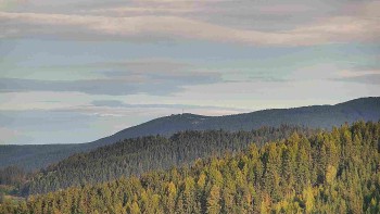 Ski areál U Sachovy studánky