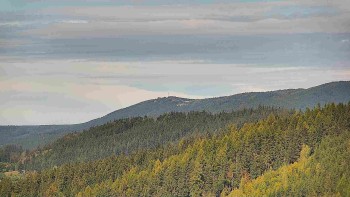 Ski areál U Sachovy studánky