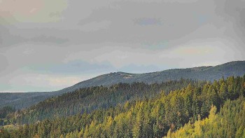 Ski areál U Sachovy studánky