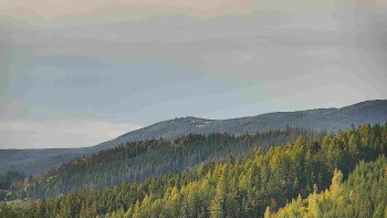 Ski areál U Sachovy studánky