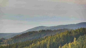 Ski areál U Sachovy studánky