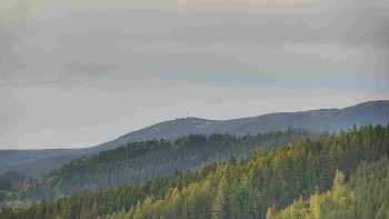 Ski areál U Sachovy studánky